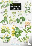 Gulliver, Richard, Gulliver, Mavis - Guide to Woodland Plants