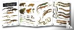 Roberts, Peter - Guide to the Reptiles and Amphibians of Britain and Ireland