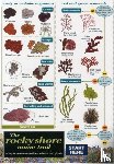  - Rocky Shore Name Trail Chart