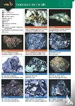 Pellant, Chris, Pellant, Helen - Guide to Common Minerals