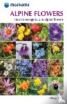 Price, Gillian - Alpine Flowers