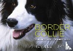 Turner, Neville - Border Collie