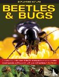 Green, Jen - Exploring Nature: Beetles & Bugs