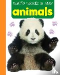 Armadillo - Let's Look & See: Animals