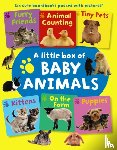 Press Armadillo - Little Box of Baby Animals