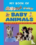 Armadillo - My Book of Baby Animals