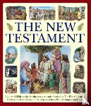 Armadillo Books - New Testament (giant Size)