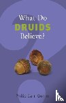 Philip Carr-Gomm - What Do Druids Believe?