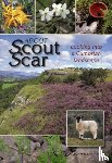 Wiltshire, Jan - About Scout Scar