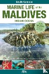 Coleman, Neville, Bridge, Tom, Moritz, Charlotte, Godfrey, Tim - Marine Life of the Maldives - Indian Ocean