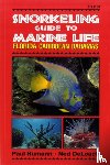 Humann, Paul, DeLoach, Ned - Snorkeling Guide to Marine Life - Florida, Caribbean, Bahamas