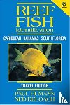 Paul Humann, Ned DeLoach - Reef Fish Identification TRAVEL