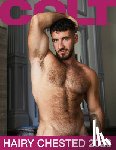 Colt Studio Group - Colt Hairy Chested 2026 Calendar