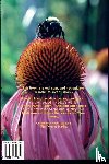 Strauss, Paul - The Big Herbs