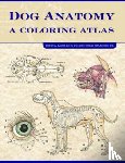 Kainer, Robert (College of Veterinary Medicine, McCraken, Thomas O. - Dog Anatomy