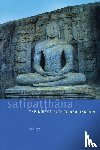Analayo - Satipatthana