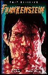 Shelley, Mary - Frankenstein-The Graphic Novel