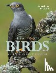 Stadlen, Matthew - How To See Birds