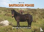 Dartmoor Pony Society - Spirit of Dartmoor Ponies