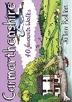 Rollins, Julian - Carmarthenshire