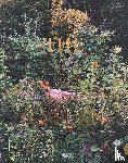 Higgie, Jennifer - Siân Davey: The Garden
