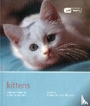 Hurton Bussey, Claire - Kitten - Pet Friendly