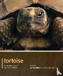 Jepson, Lance - Tortoise - Pet Expert
