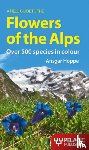 Hoppe, Ansgar - A Field Guide to the Flowers of the Alps