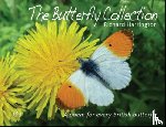 Harrington, Richard - The Butterfly Collection