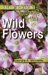 Shirreffs, Deirdre A. - Discovering British Wild Flowers