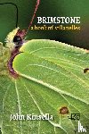Kinsella, John - Brimstone: A Book of Villanelles