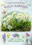 Buckingham, Caz, Pinnington, Andrea - Let's Look for Wild Flowers
