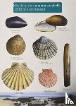 Field Studies Council, Chris - Guide to the Common Seashells of Britain and Ireland