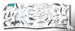 Farley-Brown, Rebecca - Guide to Summer Coastal Birds
