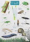 Farley-Brown, Rebecca - Garden Bugs and Beasties