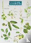 Cremona, Clare - Guide to Foraging: Top 25 Edible Plants