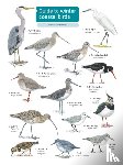 Loughran, Sue - Guide to winter coastal birds