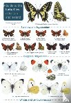 Bebbington, John - Guide to the butterflies of Britain and Ireland