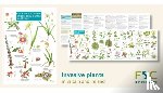 Farley-Brown, Rebecca - Guide to the non-native invasive plants of Britain and Ireland