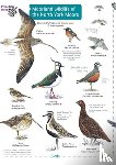 Field Studies Council - Moorland wildlife of the North York Moors