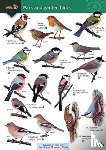 Farley-Brown, Rebecca - Park and garden birds