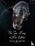 Inman, Luke - The Sea Lions of Los Islotes