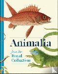 Brown, Andrew - Animalia