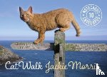 Morris, Jackie - Cat Walk Notecards