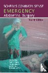  - Schein's Common Sense Emergency Abdominal Surgery