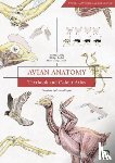 Konig, Horst Erich - Avian Anatomy 2nd Edition