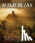 Hamilton, Dave - Wild Ruins