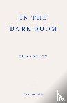 Dillon, Brian - In the Dark Room