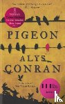 Conran, Alys - Pigeon