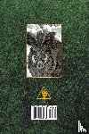 McCarthy, Josephine - Magic of the North Gate: Powers of the Land, the Stones and the Ancients